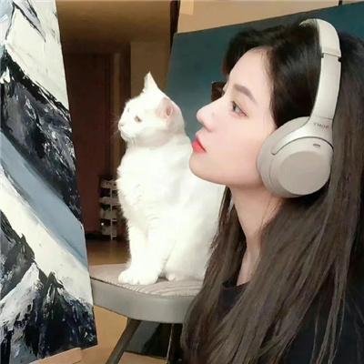 十年明月照我还