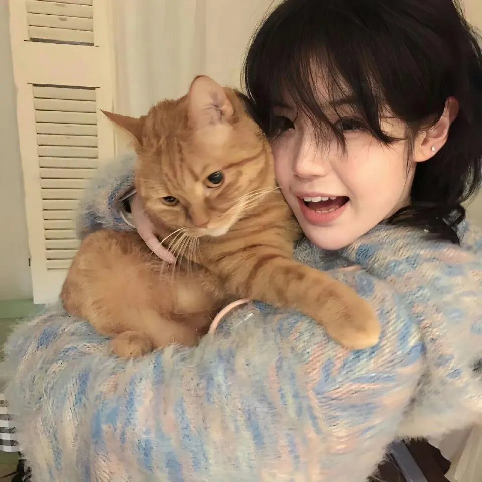 去里斯本的夜车