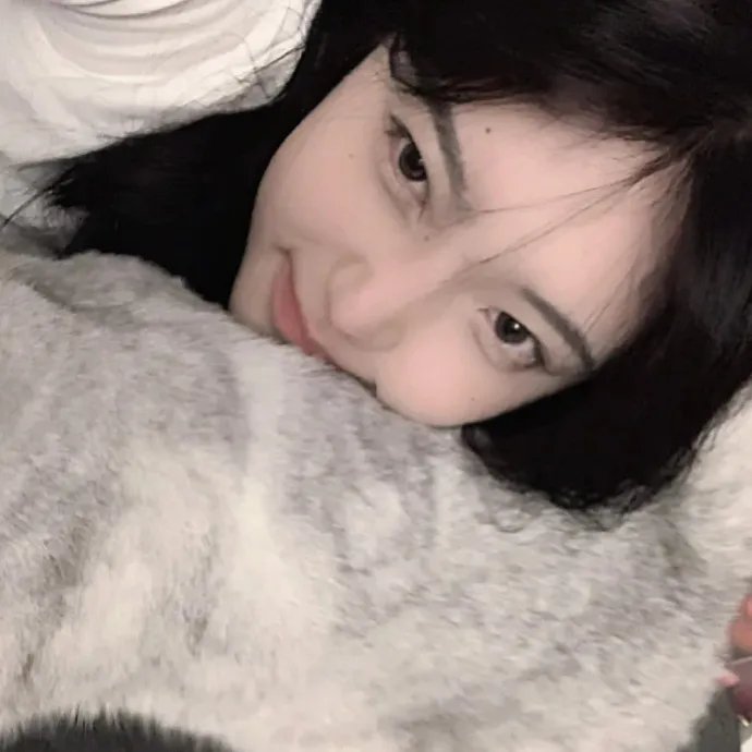 云小姐收手吧江总知错了